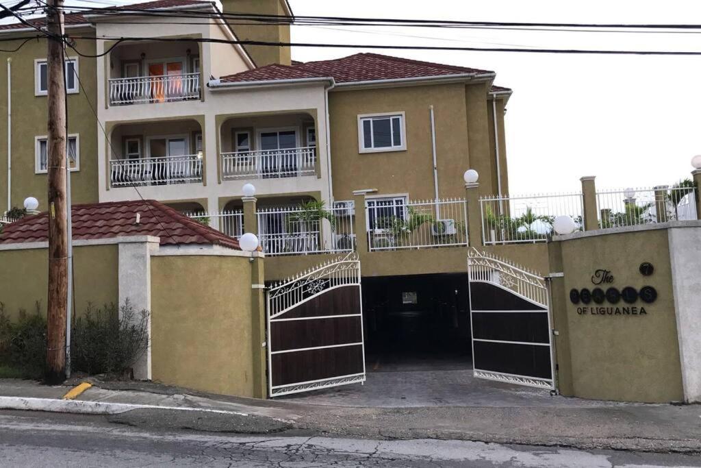 Shan'S Manor.... Excellent Location!!! Kingston Exterior photo